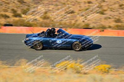 media/Nov-16-2024-Extreme Speed (Sat) [[6587d07cc4]]/Purple Group/Session 3 (The Bowl)/